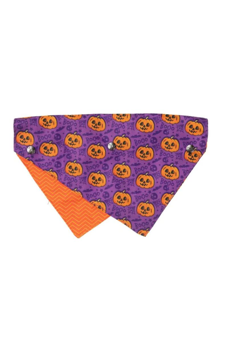 Fuzzyard Jack Jack Jackie Lantern Bandana Large Purple