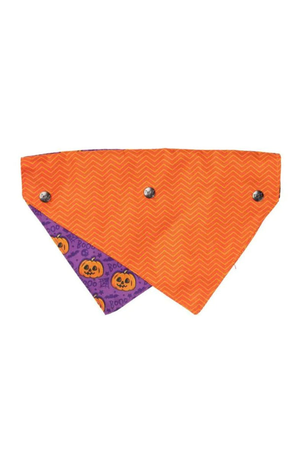 Fuzzyard Jack Jack Jackie Lantern Bandana Large Purple