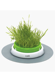Catit | Senses 2.0 Grass Planter