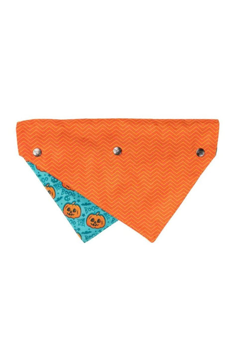 Fuzzyard Jack Jack Jackie Lantern Bandana Large Teal