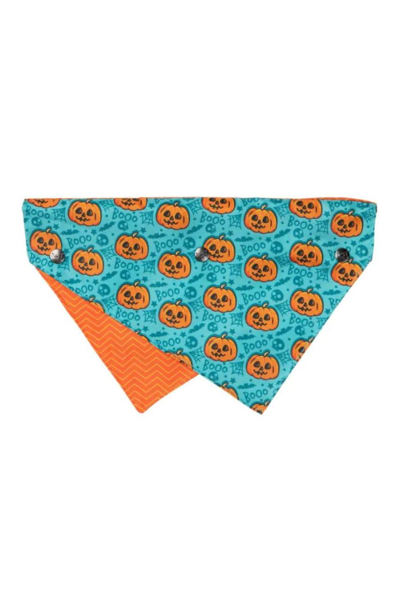 Fuzzyard Jack Jack Jackie Lantern Bandana Small Teal