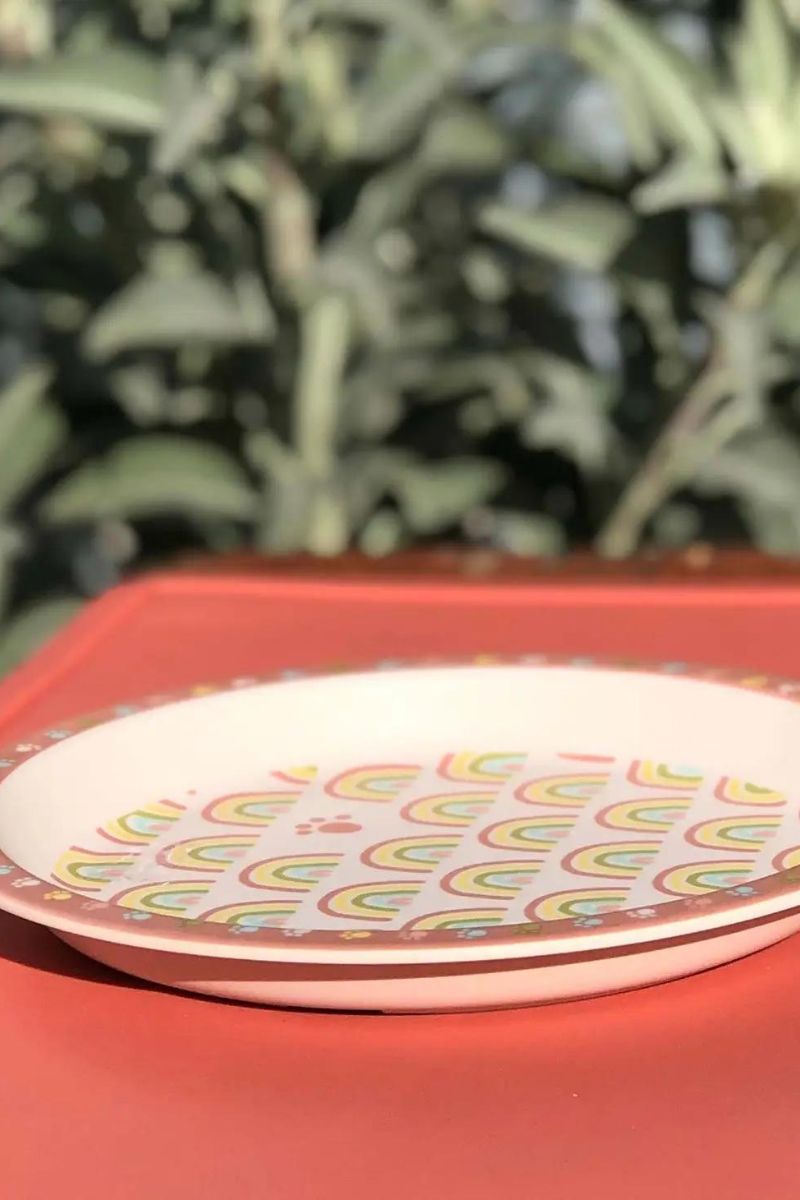 Speckle and Spot Pet Bowl Bamboo Rainbows