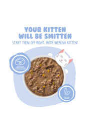 Weruva Kitten Chicken & Pumpkin Gravy Canned Cat Food 3 oz