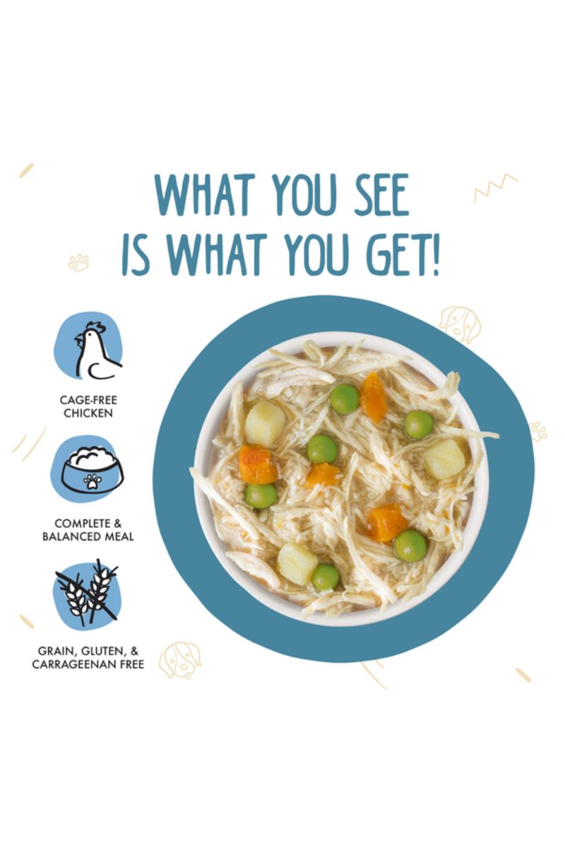 Weruva Grandma's Chicken Soup Wet Dog Food 14 oz