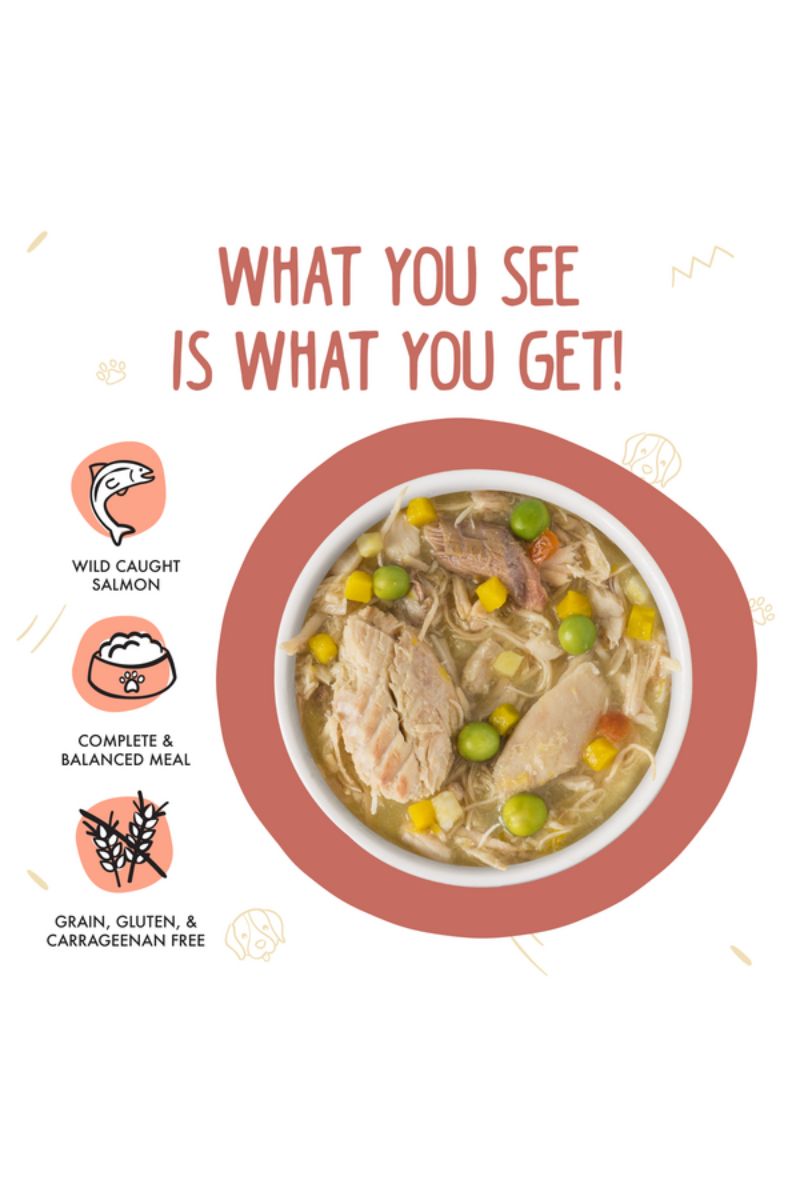 Weruva Jammin' Salmon Wet Dog Food 14 oz