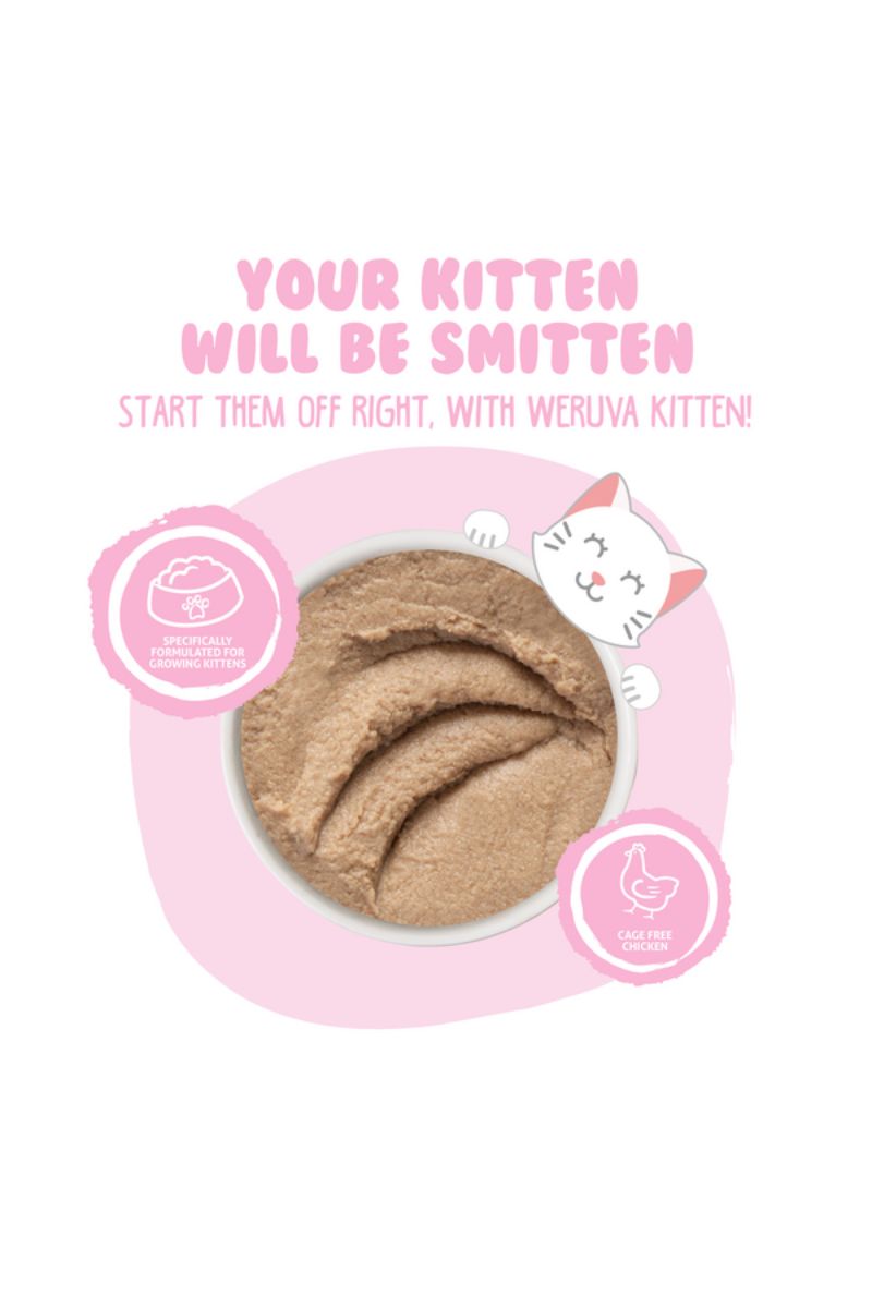 Weruva Kitten Chicken Purée Canned Cat Food 3 oz