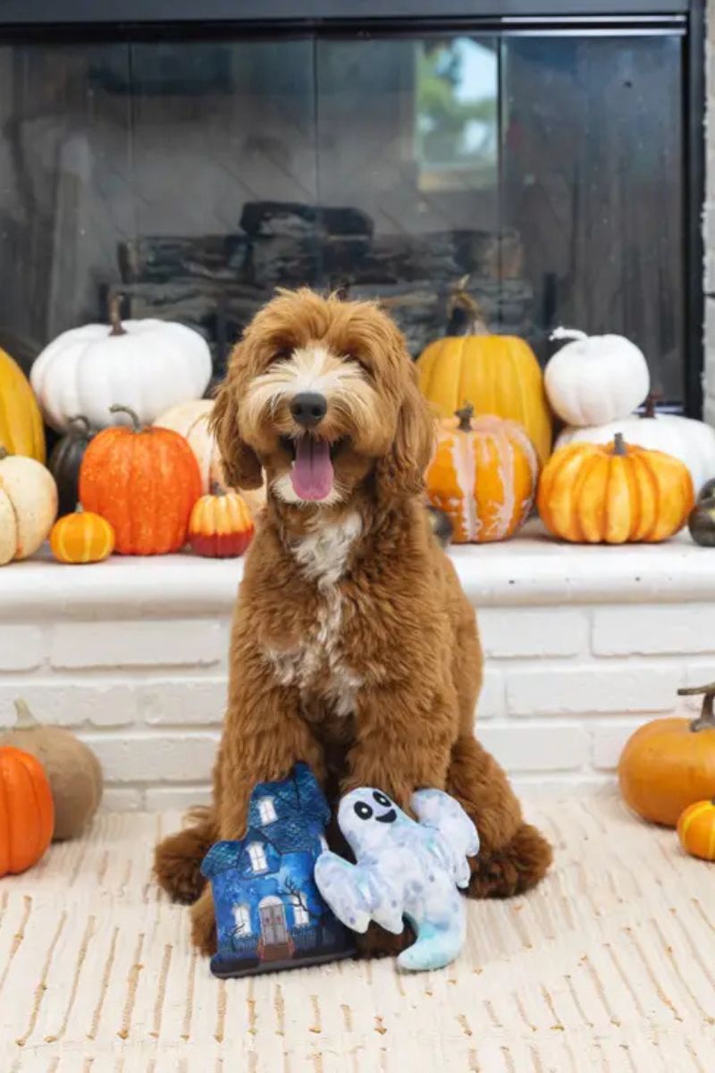 Fringe Studio Petshop Haunted Manor Dog Toy 2 Pack