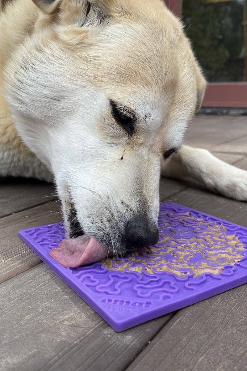 SodaPup Bones Lickmat Purple Large