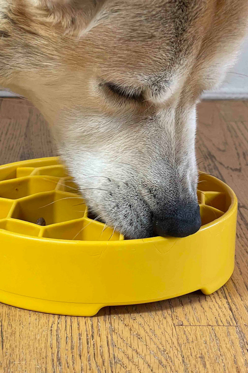 SodaPup Honeycomb Slow Feeder Yellow