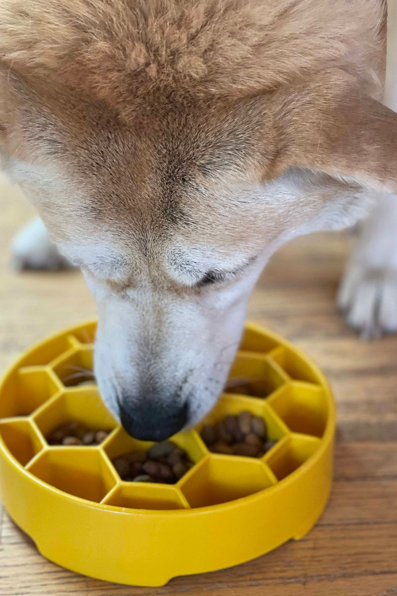 SodaPup Honeycomb Slow Feeder Yellow