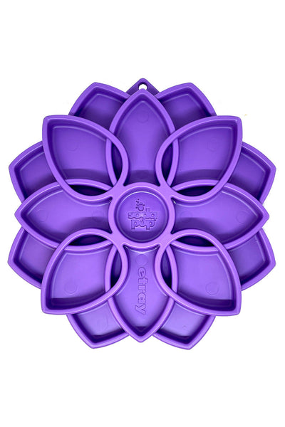 SodaPup Mandala Feeder Purple