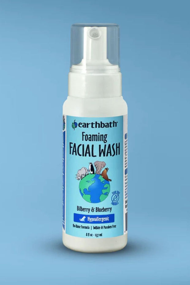 FOAMING FACIAL WASH 8OZ