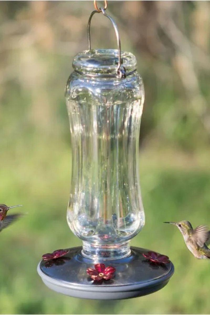 Perky Pet Hummingbird Feeder Starglow