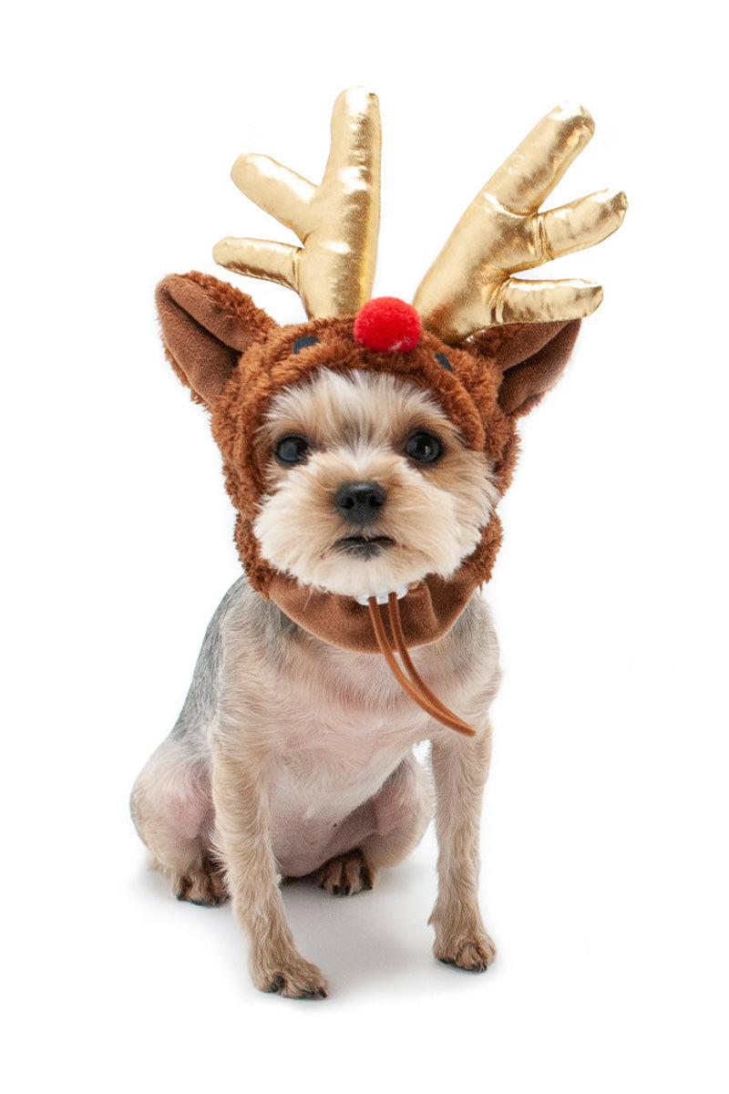 DOGO Rudolph Hat Costume Extra Large