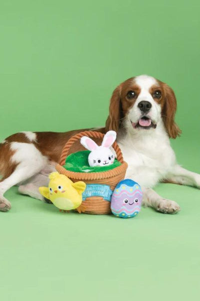 Fringe Studio Egg Hunt Squad Hide and Seek Plush Dog Toys