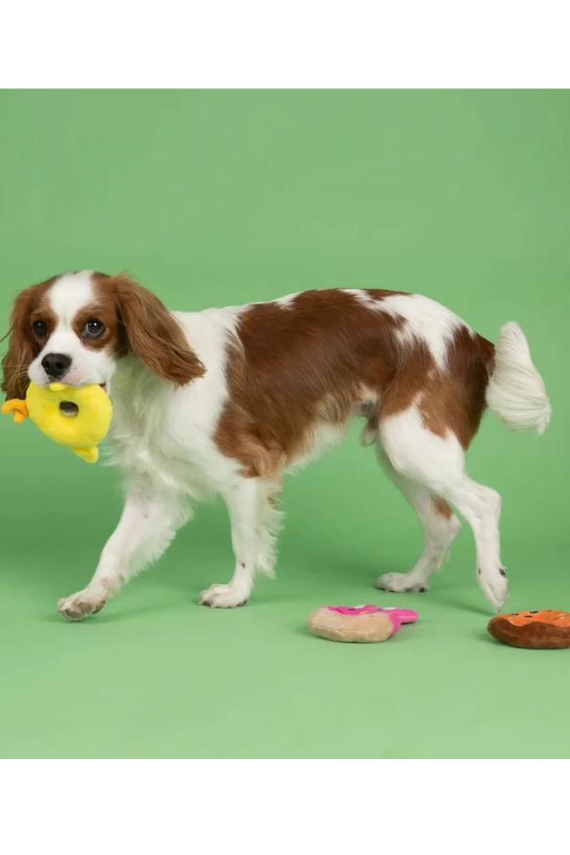 Petshop by Fringe Holey Donuts Plush 3 Pack