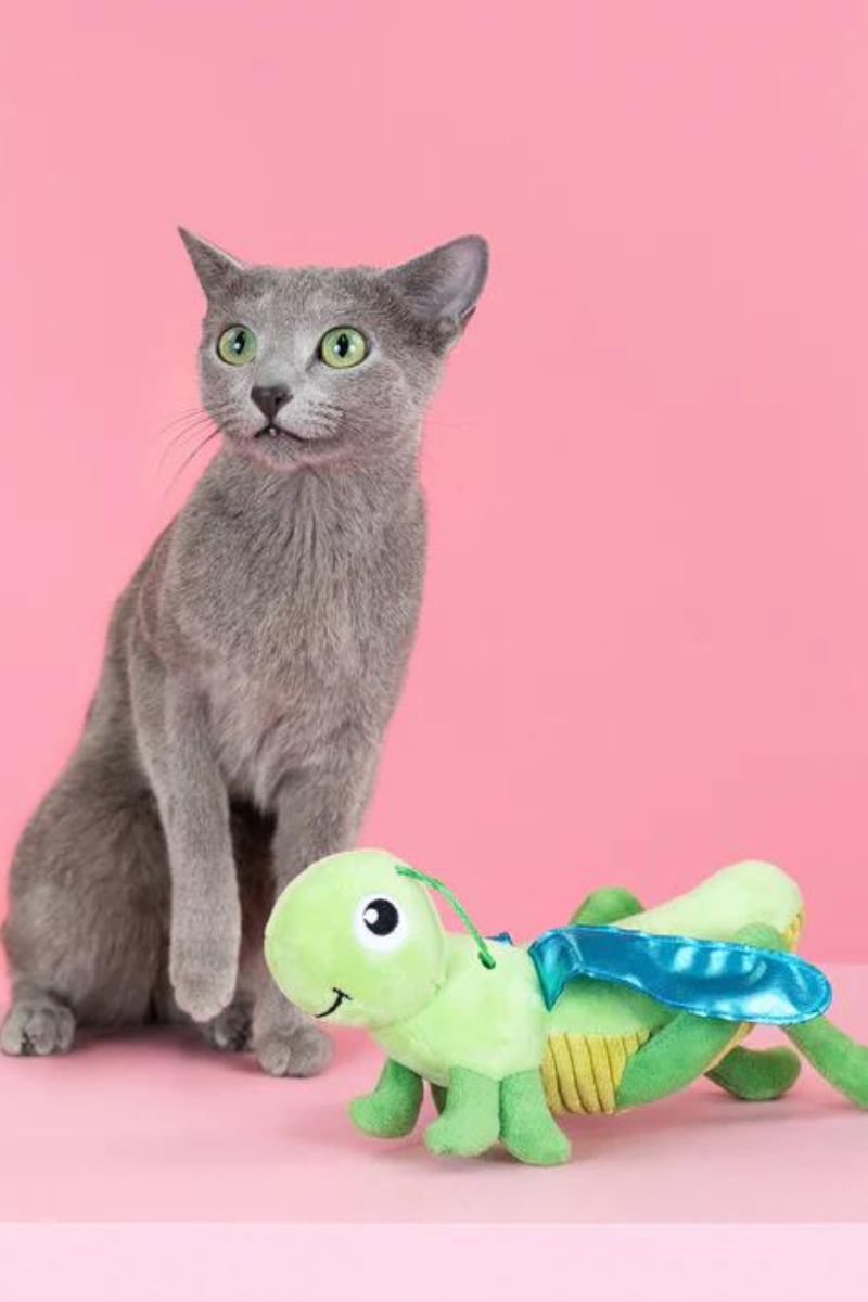 Fringe Studio Petshop Hop On By Cat Toy