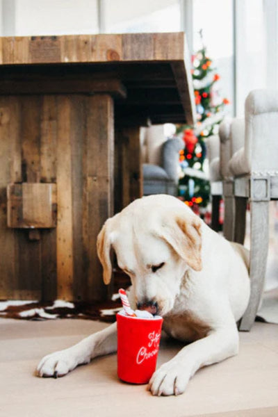 P.L.A.Y. Holiday Classic Hot Chocolate