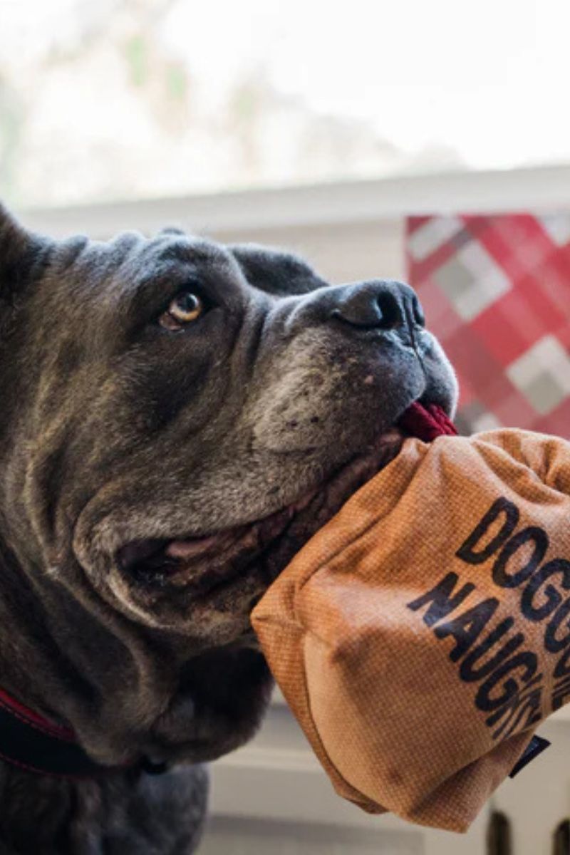 P.L.A.Y. Home for the Holidays Collection Bag of Coal