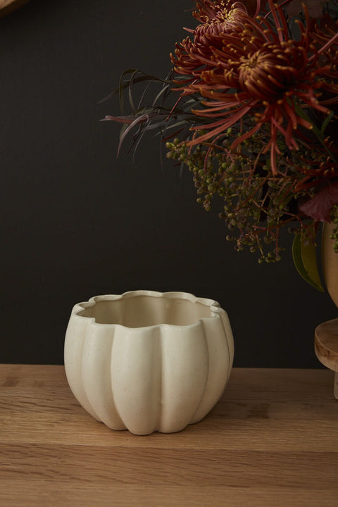 Spiced Pumpkin Pot 5.75"x 4.25"