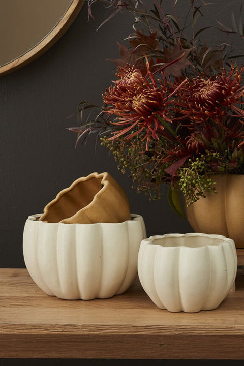 Spiced Pumpkin Pot 5.75"x 4.25"