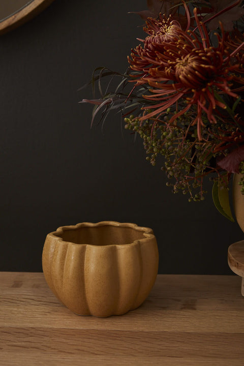 Spiced Pumpkin Pot 5.75"x 4.25"