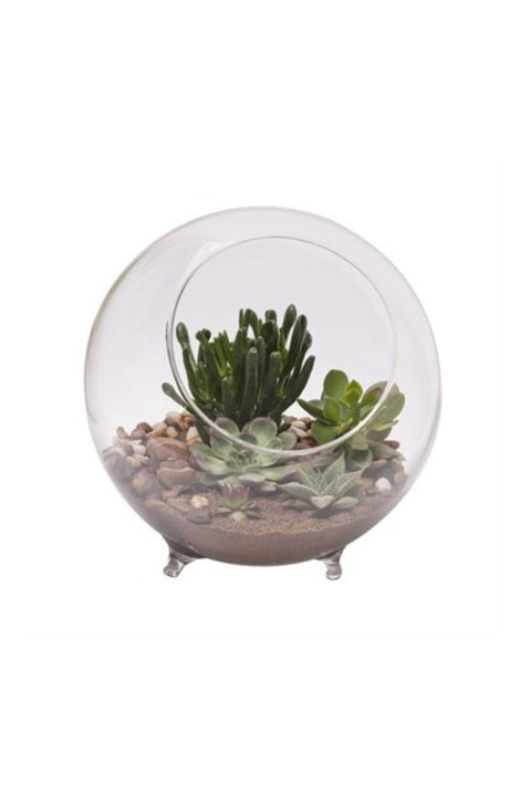 Glass Terrarium Sphere 10"