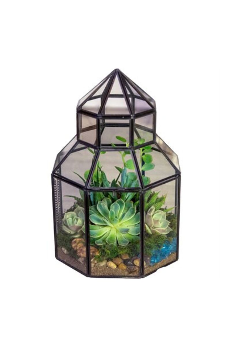 TERRARIUM, GLASS CONSERVATORY