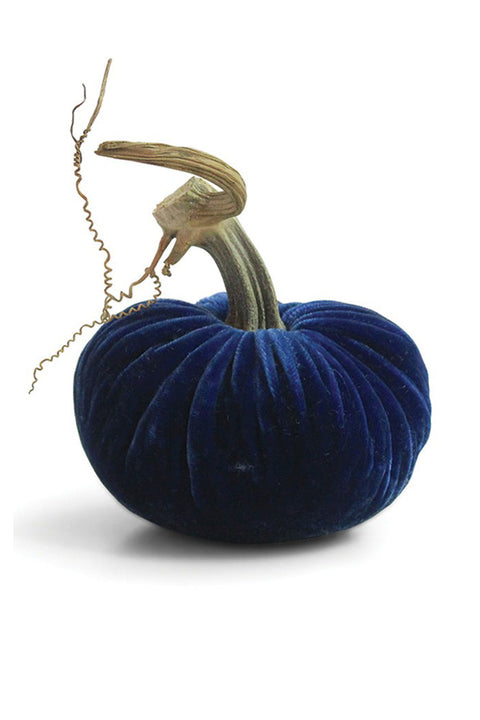 Plush Pumpkin Velvet Pumpkin 5" Sapphire