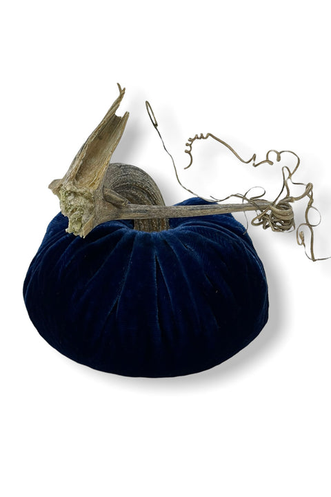 Plush Pumpkin Velvet Pumpkin 4" Sapphire