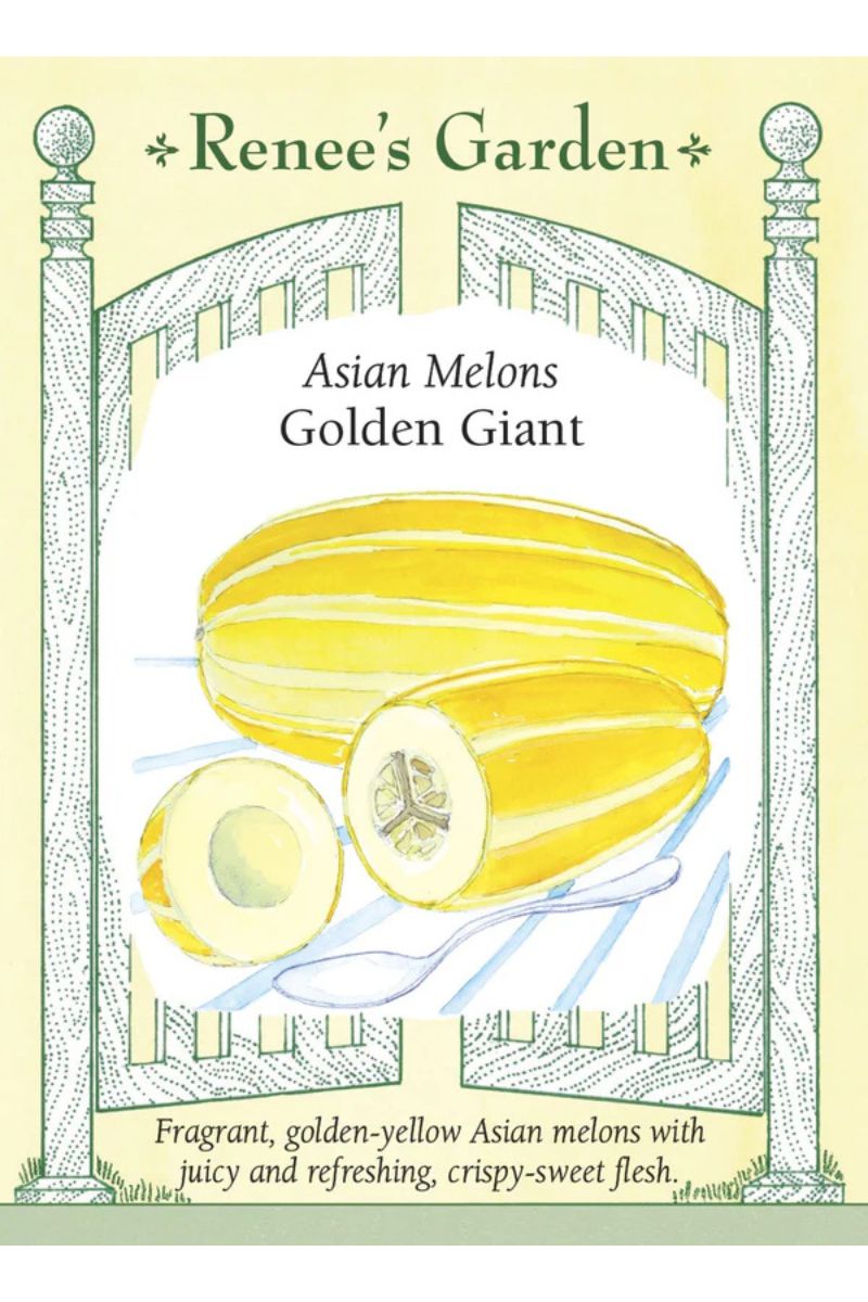 Renee's Garden Asian Melon Golden Giant Seeds