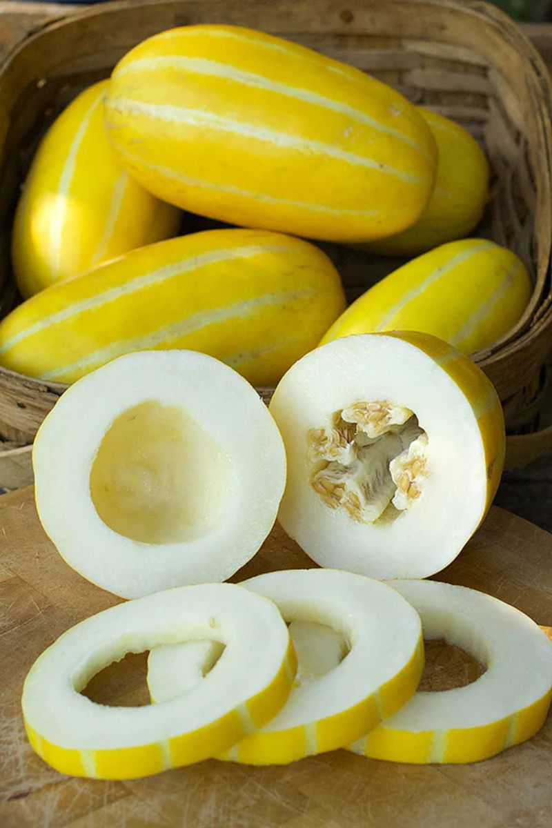 Renee's Garden Asian Melon Golden Giant Seeds