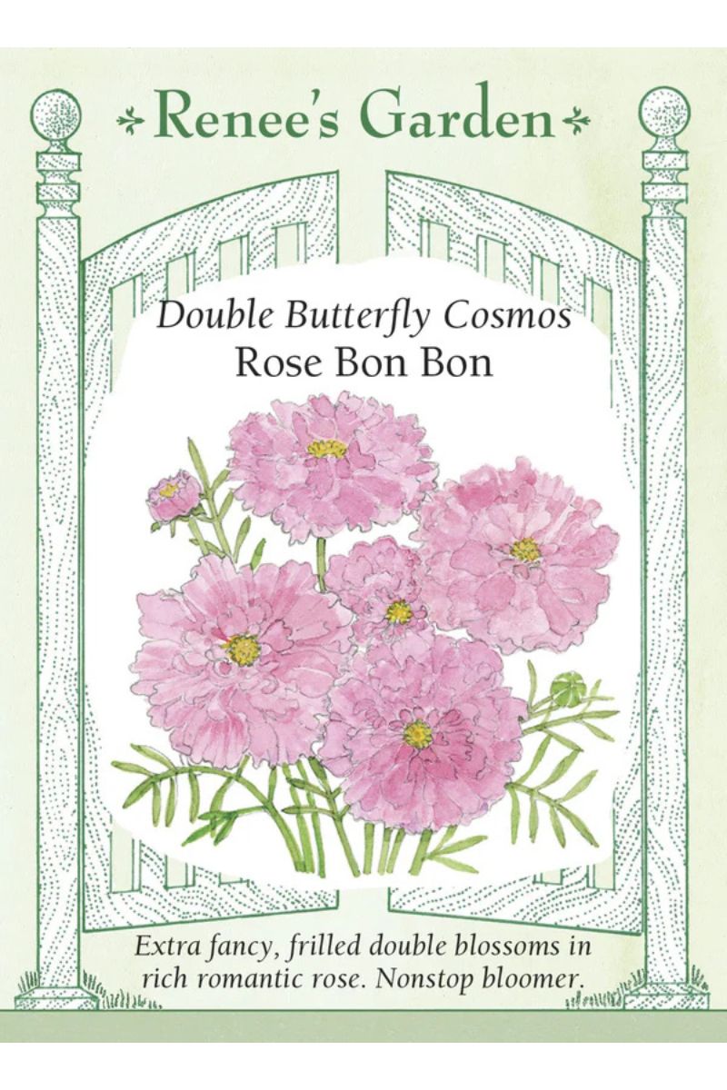 Renee's Garden Double Butterfly Cosmos Roise Bon bon Seeds