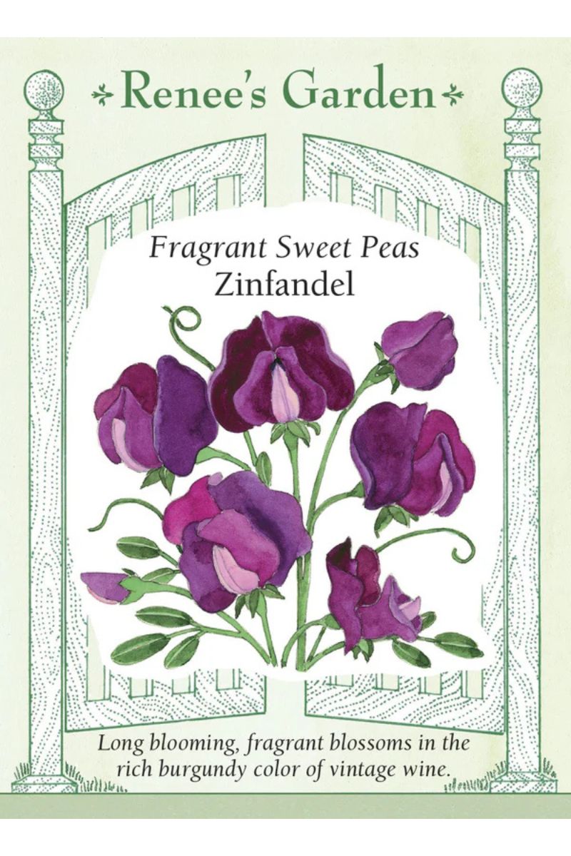 Renee's Garden Fragrant Sweet Peas Zinfandel Seeds