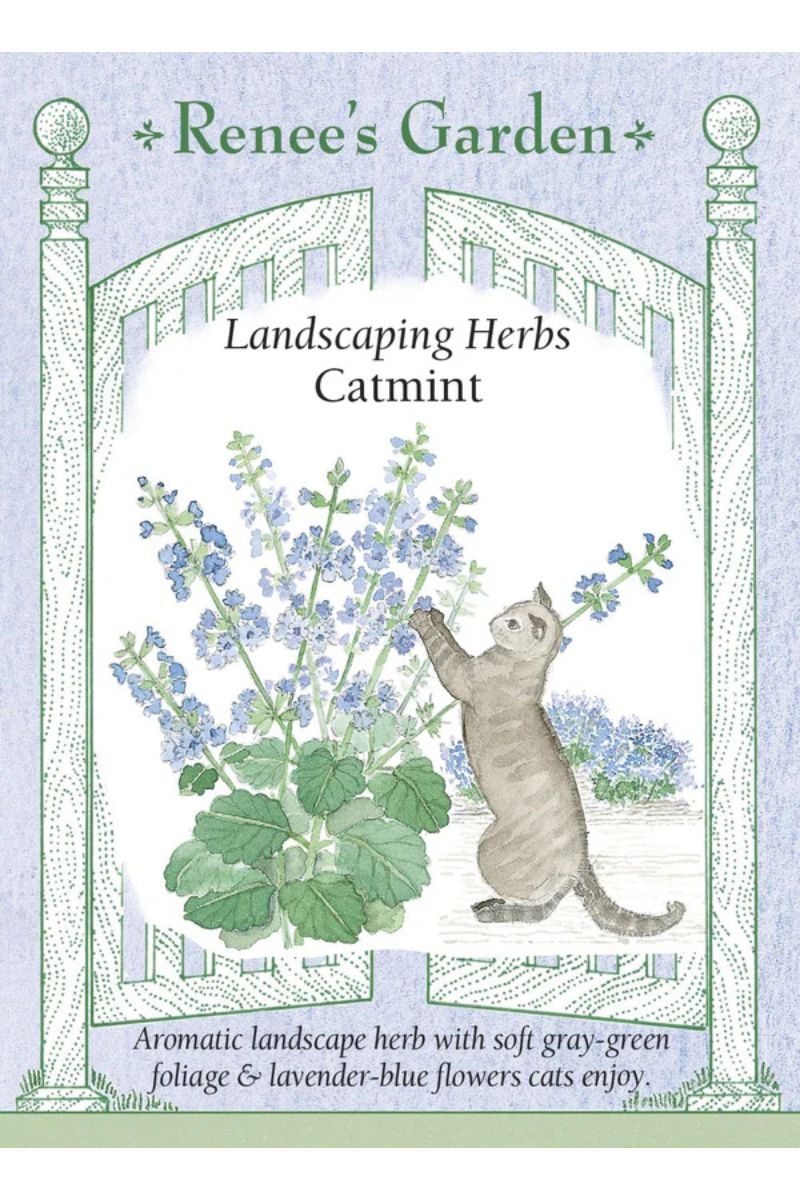 Renee's Garden Landscaping Herbs Catmint Seeds