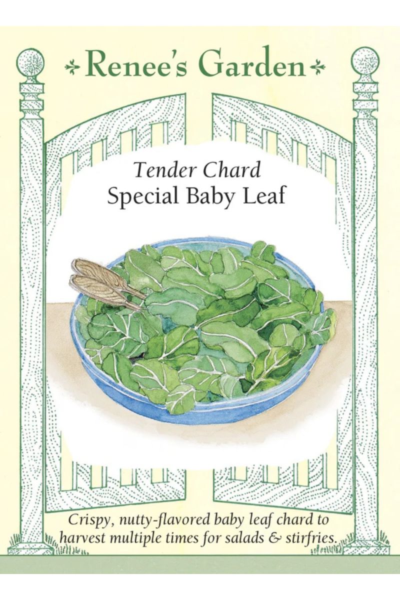 Renee's Garden Tender Chard Special Baby Leaf Seeds