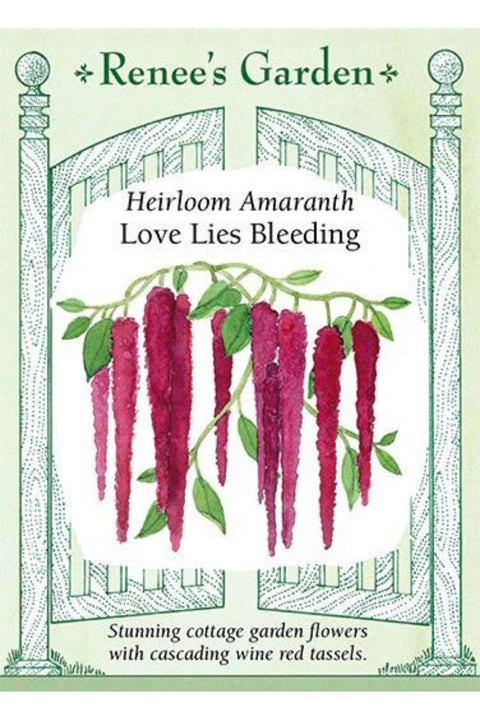 Renee's Garden Heirloom Amaranth Love Lies Bleeding Seeds