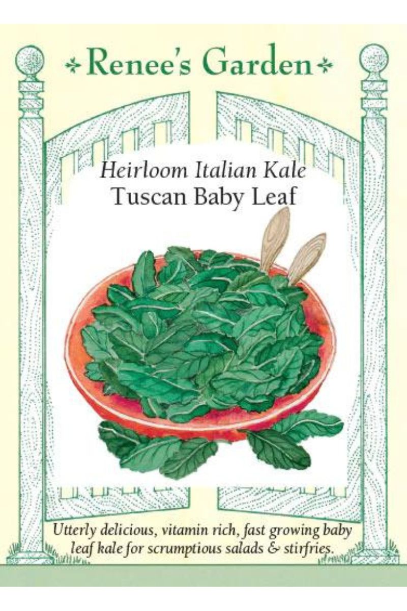 Renee's Garden Heirloom Italian Kale Tuscan Baby Leaf Seeds