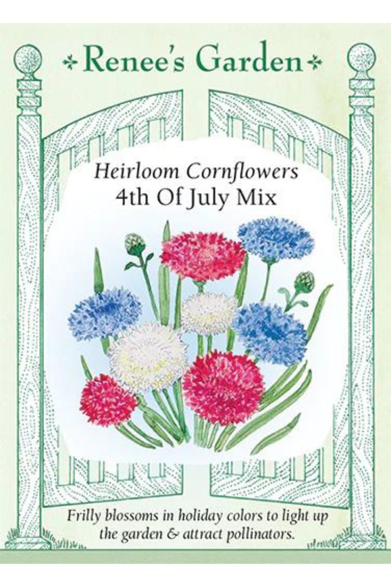 Renee's Garden Heirlooim Cornflowers 4th Of July Mix Seeds