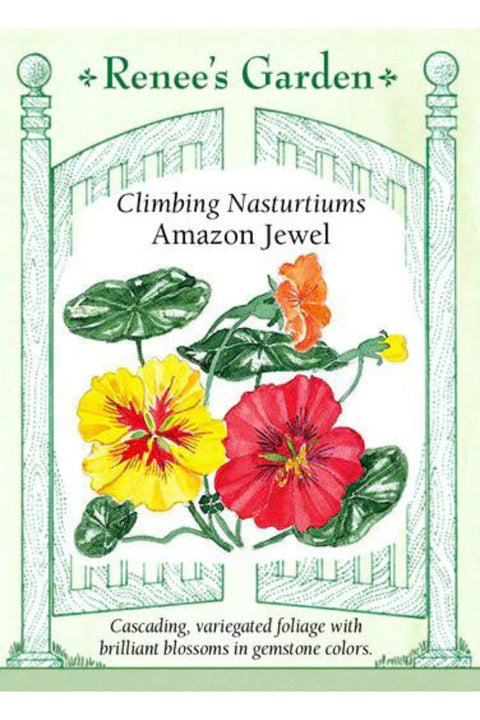 Renee's Garden Climbing Nasturtiums Amazon Jewel Seeds