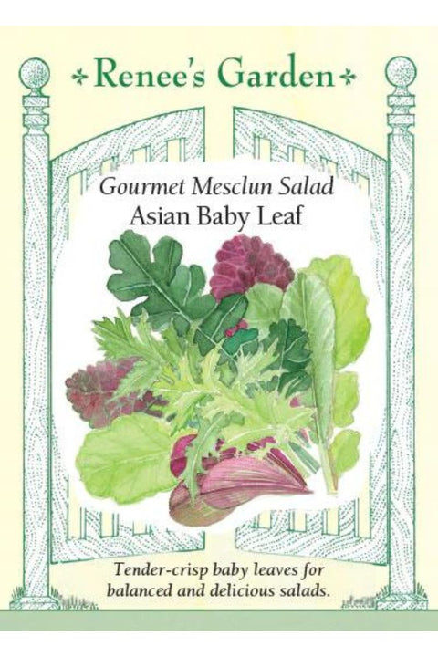 Renee's Garden Gourmet Mesclun Salad Asian Baby Leaf Seeds