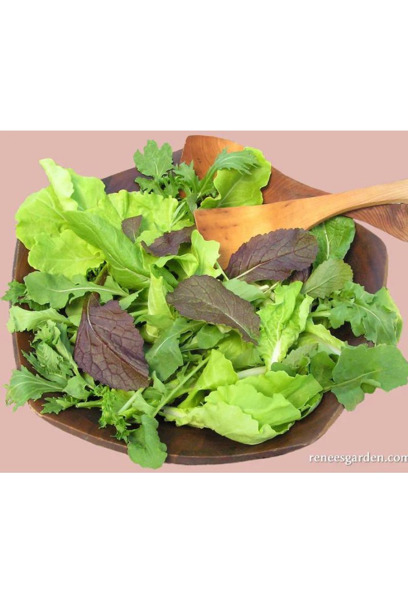 Renee's Garden Gourmet Mesclun Salad Asian Baby Leaf Seeds