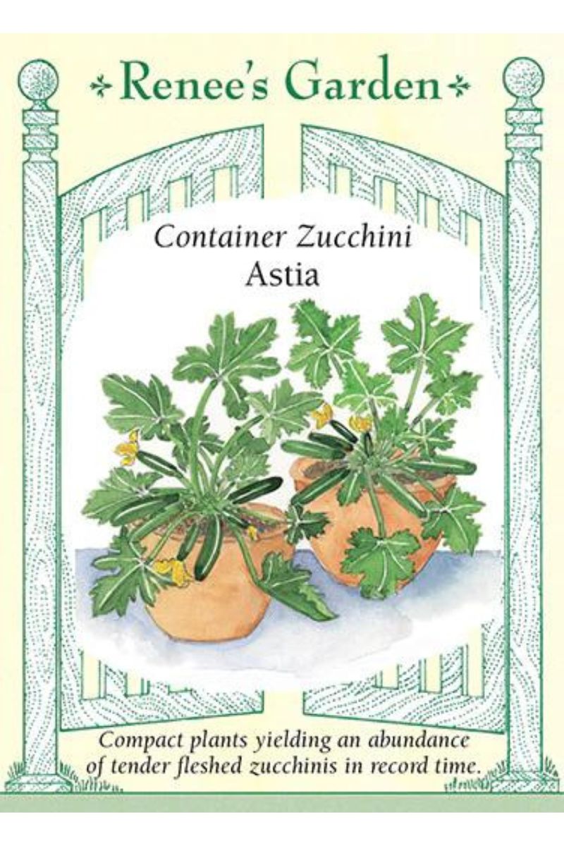 Renee's Garden Container Zucchini Astia Seeds