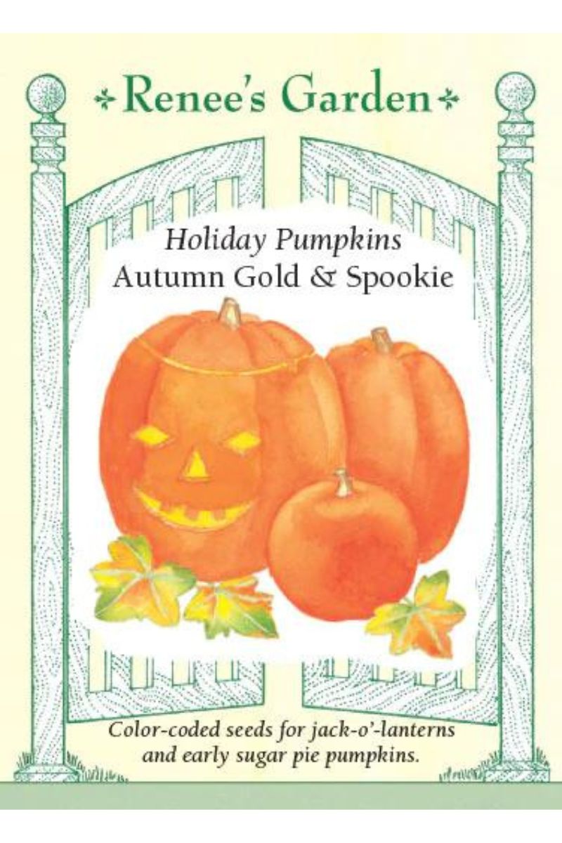 Renee's Garden Holiday Pumpkins Autumn Gold & Spookie Seeds