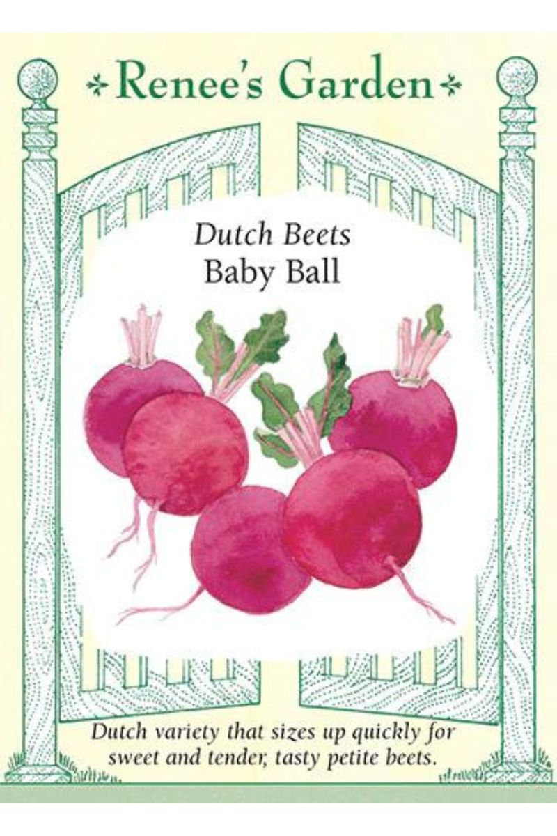 Renee's Garden Dutch Beets Baby Ball Seeds