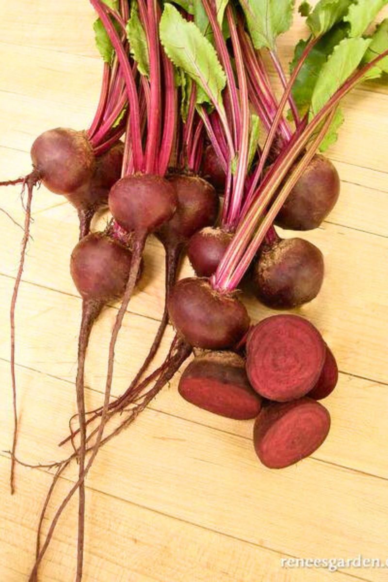 Renee's Garden Dutch Beets Baby Ball Seeds