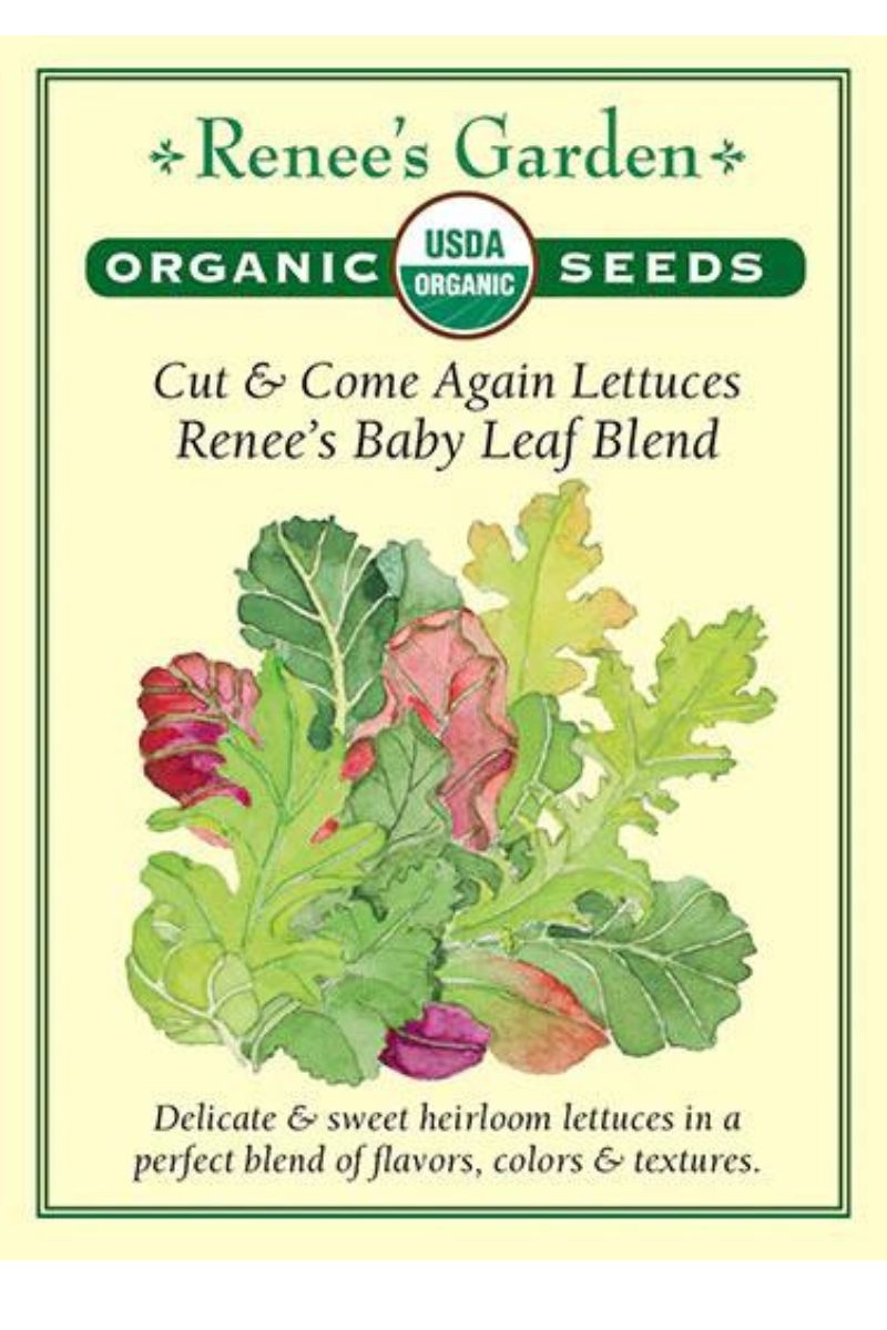 Renee's Garden Cut & Come Again Lettuces Renee's Baby Leaf Blend Organic Seeds