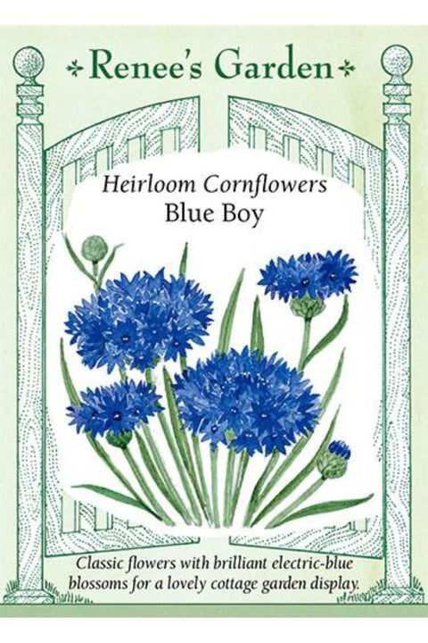 Renee's Garden Heirloom Cornflower Blue Boy Seeds