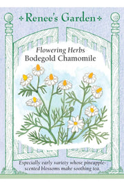 Renee's Garden Flowering Herbs Bodegold Chamomile Seeds