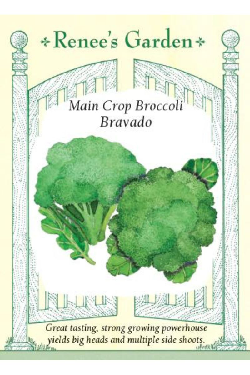 Renee's Garden Main Crop Broccoli Bravado Seeds